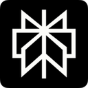 Perplexity logo