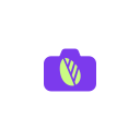 PlantPhotoAI logo