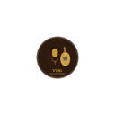 Voice to Instrument Converter logo